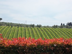 SRU Roma & Firenze 361