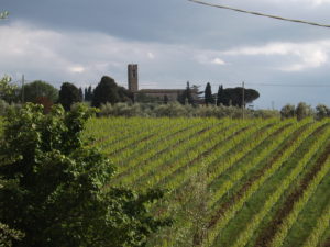 DSCF1524