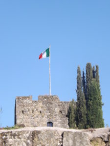 DSCF2571