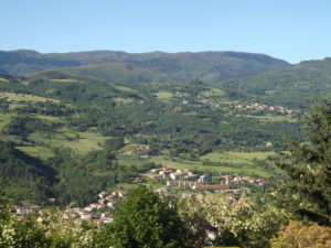DSCF2581