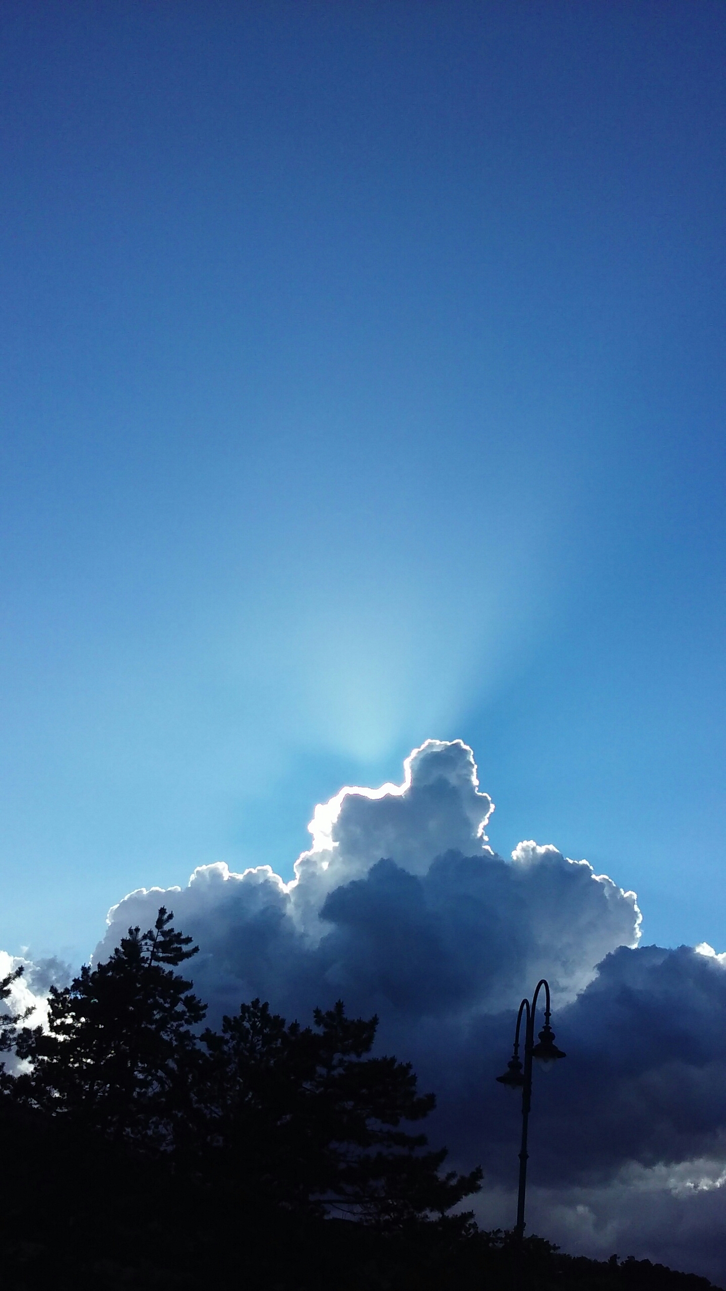 wp-1464306987206 image