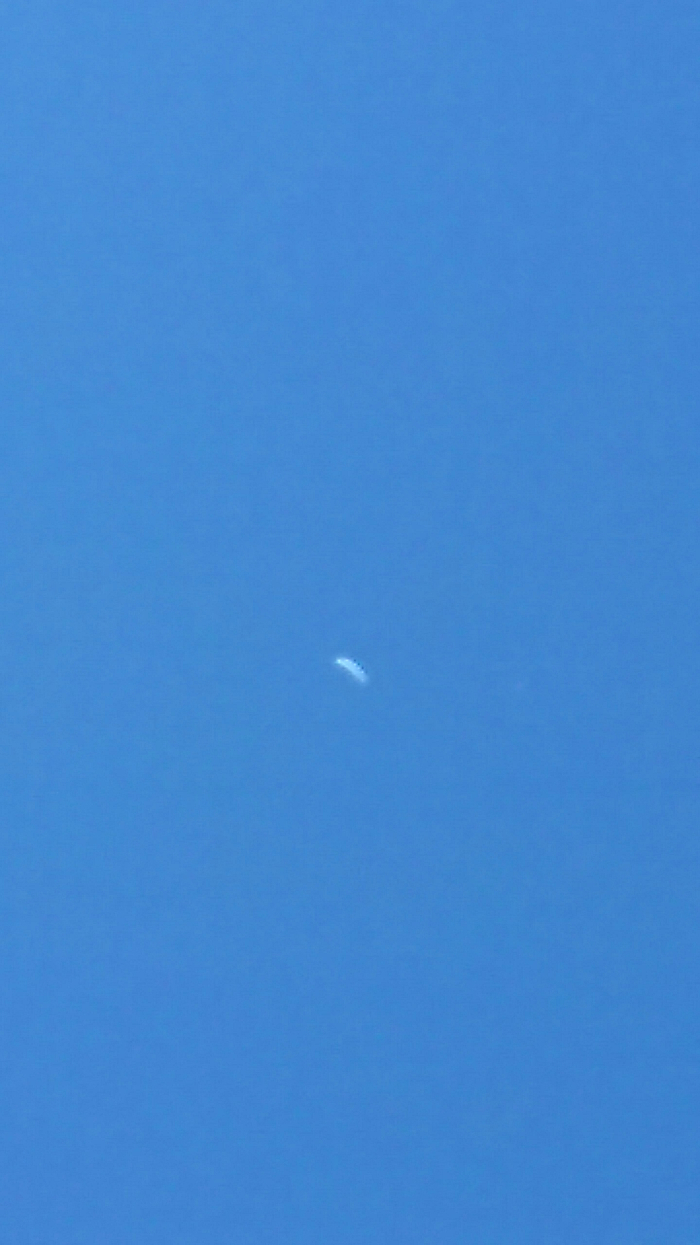 wp-1464307062439 image