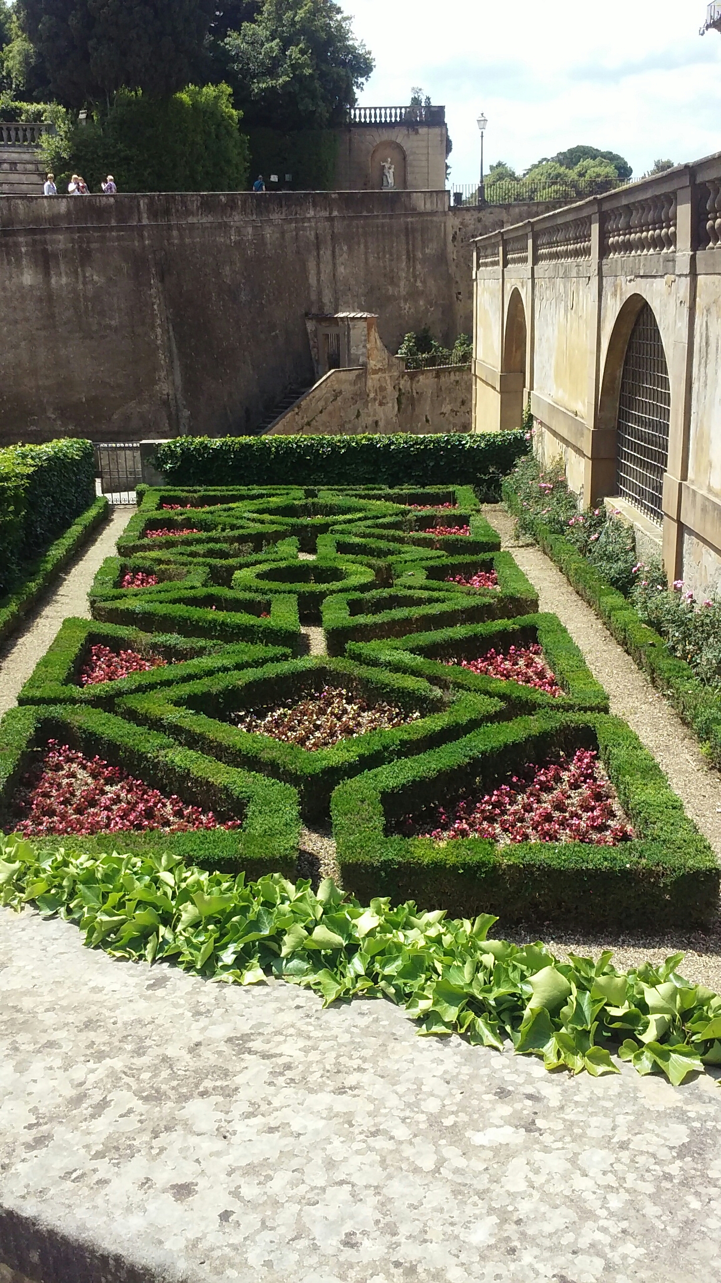 wp-1464307307256 image