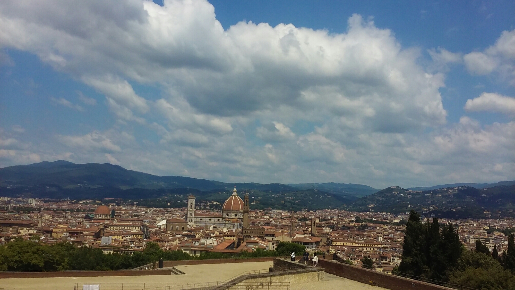 wp-1464307371646 image