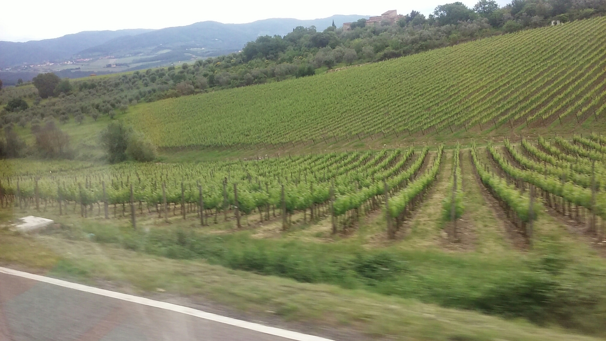 wp-1464307489517 image