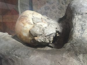 Skeleton